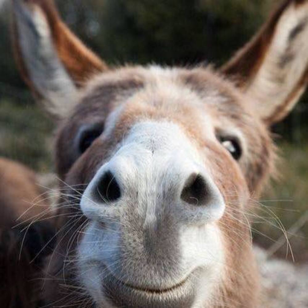 Meet your Posher, Christine